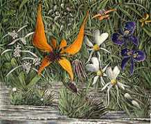 enjoyscandinavianart.com Lecris
