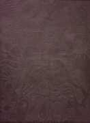 Leder