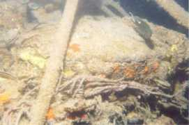 dutchsubmarines.com Leenderts