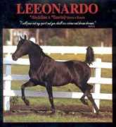 kakagiarabians.com Leeonardo