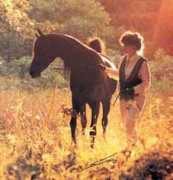 kakagiarabians.com Leeonardo