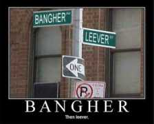 Leever