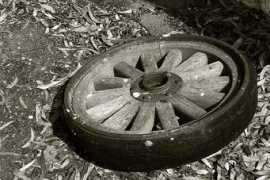 photo.hlehnerer.com Leftbehind