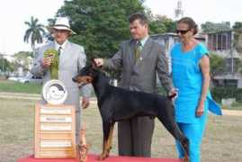 legarddobermans.com Legard