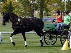 albertaequine.com Legars