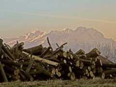 panoramio.com Legname