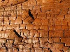 vogliaditerra.com Legno