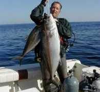 alabamaopen.com Legrone