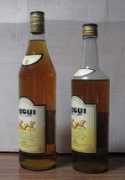 taniquetil.com.ar Leguis
