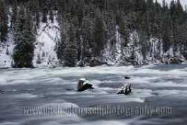 michaelrussellphotography.com Lehardy