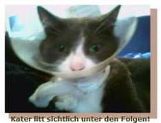 cuxkatzen.de Leisker