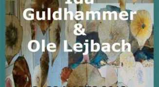 aok.dk Lejbach