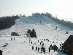 szczawnica.pl Lelito