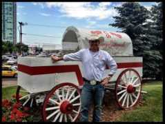 blog.calgarystampede.com Lemanne