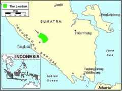 Lembak