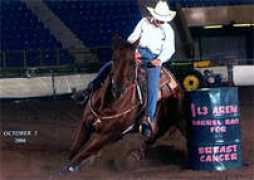 bathchapsandleather.com Lembitz