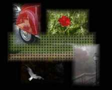 thierry.lemeunier.free.fr Lemeunier