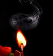 elephantjournal.com Lemig