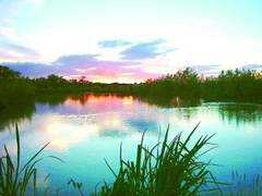 fishsouthwest.co.uk Lemington