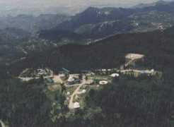 Lemmon