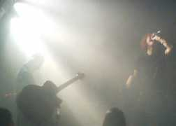 dsh.jp Lemoned