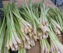 hippyshopper.com Lemongrass