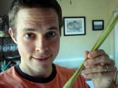 nomeatathlete.com Lemongrass