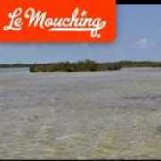 Lemou