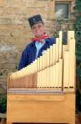 musicameccanica.it Lenaert