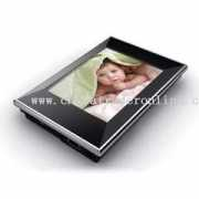 chinatraderonline.com Lendar