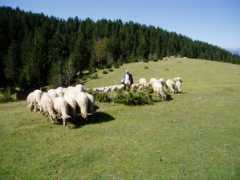 albaresor.com Lendina