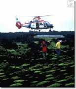 surtsey.is Lendir