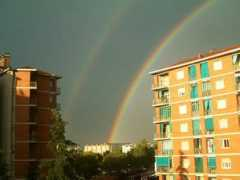 provincia.torino.gov.it Leneschi