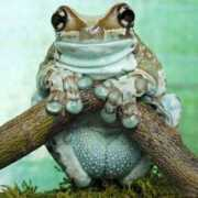 lenika.kroogi.com Lenika