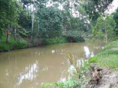 pahang-delights.com Lentang