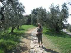 gallery.antiflux.org Leondardo