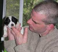 funnytheworld.com Leoned