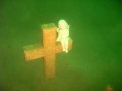 divebuddy.com Leoner