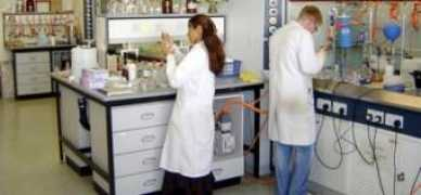 conway.chem.ox.ac.uk Leoneti