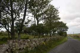 geograph.org.uk Leorin
