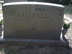 freepages.genealogy.rootsweb.ancestry.com Leoter