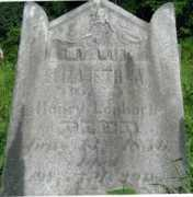 rootsweb.ancestry.com Lephart