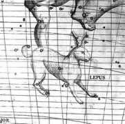 ianridpath.com Lepus