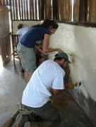 lionconservationfund.org Lerata