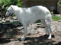 lagniappehounds.com Lereau