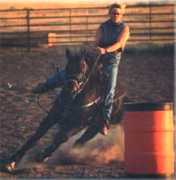 barrelbreederincentive.com Leroys