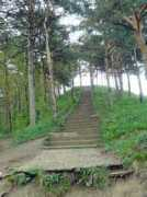 panoramio.com Lesenka