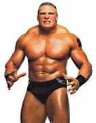 accelerator3359.com Lesnar