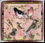 Lesoiseaux
