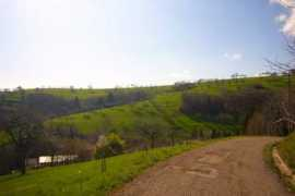 panoramio.com Lessinia